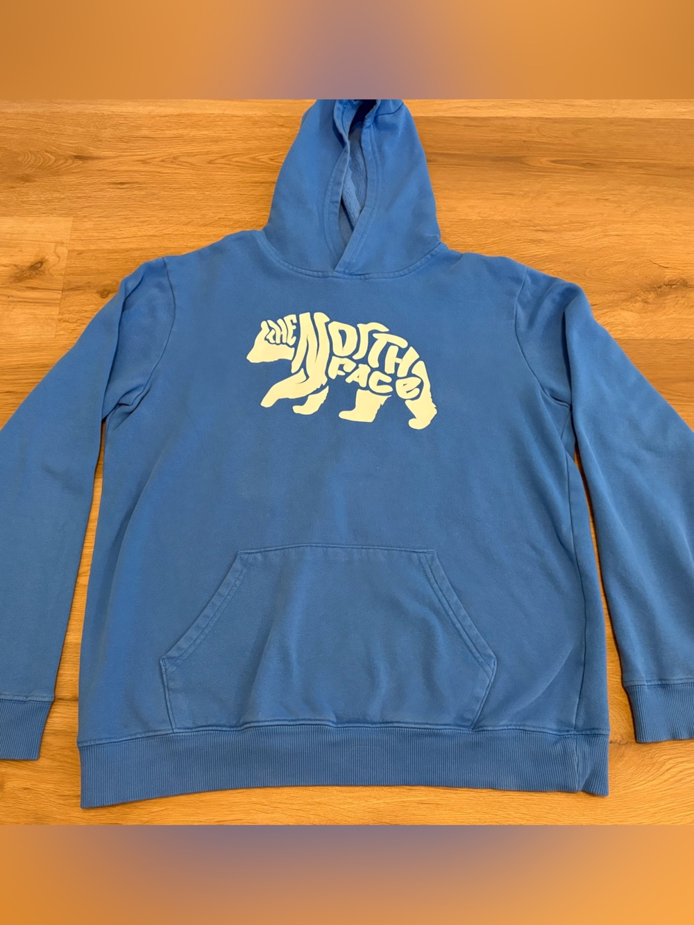 The North Face Blue Kids Hooded Sweatshirt Size XXL
